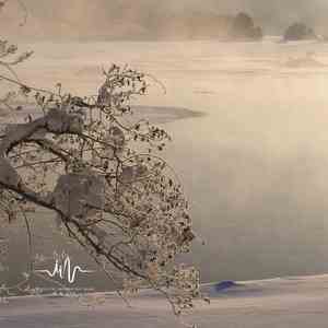 禅心静听 (手碟)