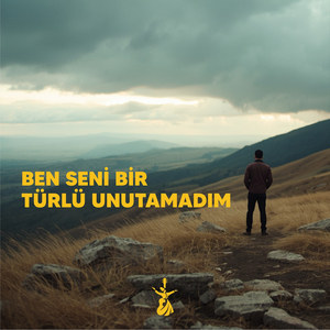 Ben Seni Bir Türlü Unutamadım