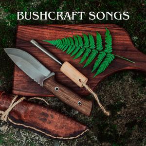 By the Fire and Shadows