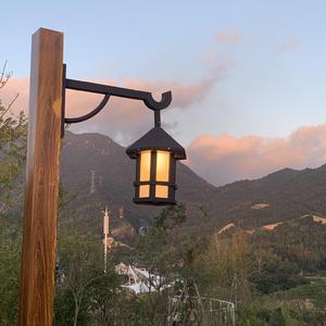 晚夜微雨问海棠