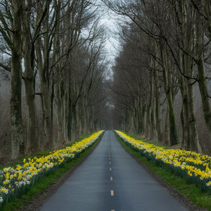 들장미가 만발한 초원에서