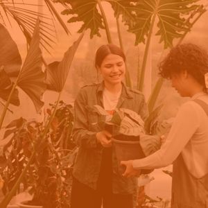 抚慰的购物中心回忆