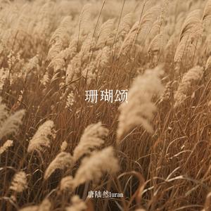 《珊瑚颂》加速版