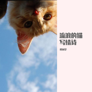 流浪的猫写情诗