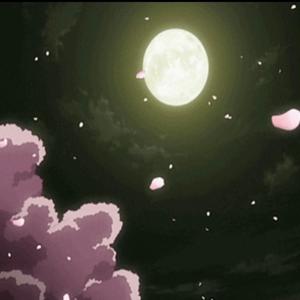 Lets Make Love Under The Moon