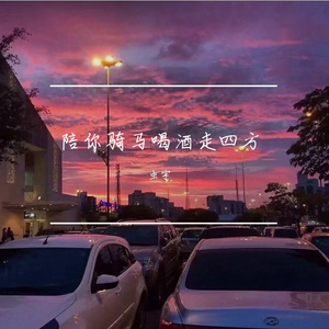 陪你骑马喝酒走四方