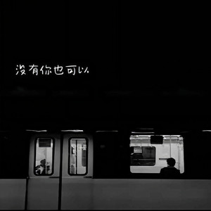 没有你也可以