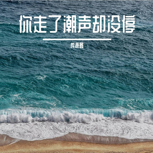你走了潮声却没停