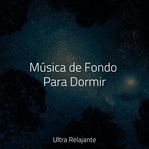 Brisa A Través De Las Edades