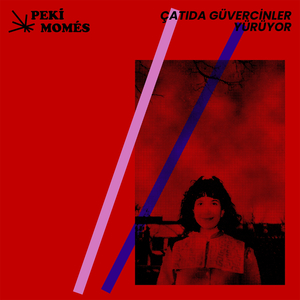 Çatıda Güvercinler Yürüyor