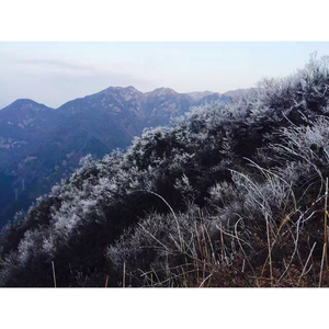 我要唱一首歌给你