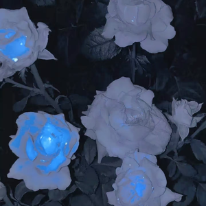 [FREE]-"热烈“ Jerk x HoodTrap Type Beatv