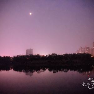 白首（墨印ED）