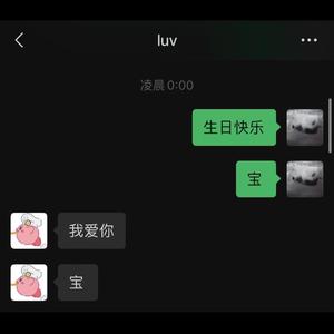 后来的后来，你也不在了（Stray remix）