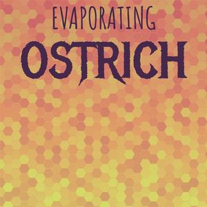 Teensy-weensy Bummer