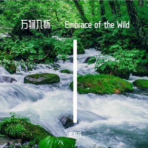 万物入怀 · Embrace of the Wild
