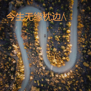 今生无缘枕边人