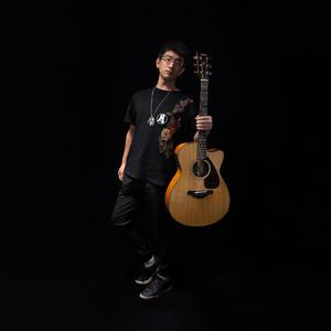 夜的钢琴曲五（吉他指弹）