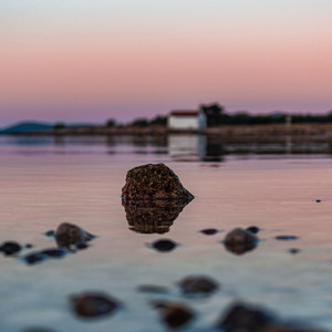 Wilderman Meadow Inther