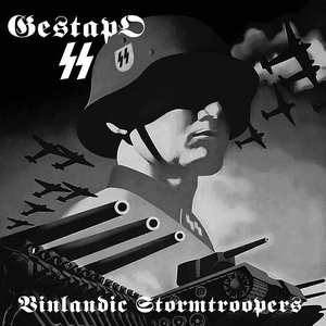 Intro for the Rise of the Vinlandic Stormtroopers
