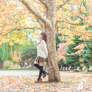 星降る夜の恋占い