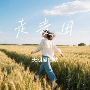 走麦田（Cover 裁缝铺）