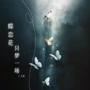 蝶恋花只梦一场