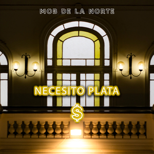 Necesito plata