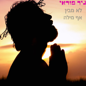 לא מבין אף מילה