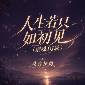 人生若只如初见(烟嗓DJ版)