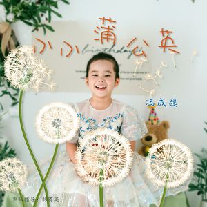 小小蒲公英