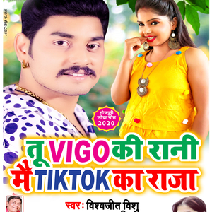 Tu Vigo Ki Rani Mai TikTok Ka Raja
