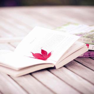 ♪『百听不厌的华语<治愈>金曲』♪