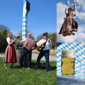 Singa springa dringa