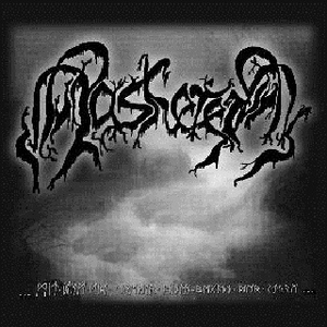 Unter dem Mitternachtshimmel