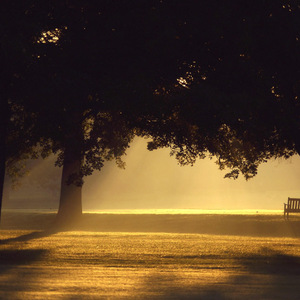 理想三旬（翻自 陈鸿宇）