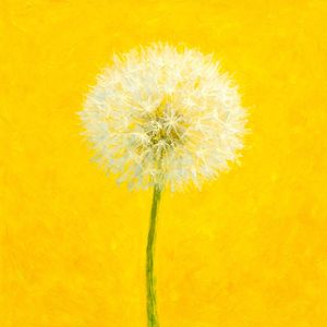 하하호호 징글벨