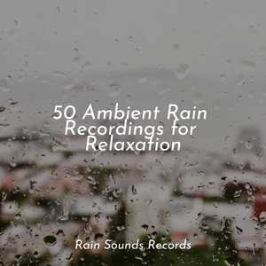 Flight of the Hidden Grove