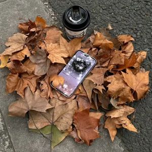 去年的花开（栎栎版）