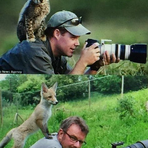 ดาวหางฮัลเลย์ (Sped Up)