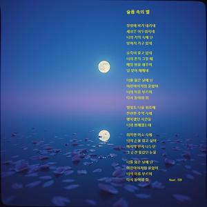 슬픔 속의 별 (feat. SB)