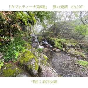 カヴァティーナ第6番 嬰ハ短調 op.107