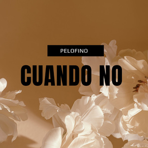 cuando no
