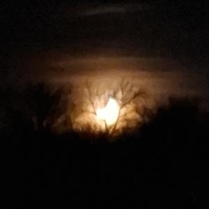 marginal manifestations