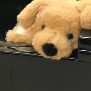 孤独患者（翻自 陈奕迅）