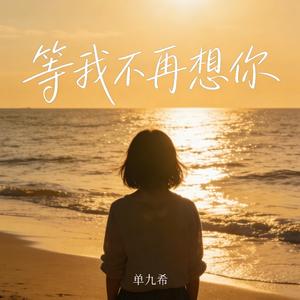 等我不再想你