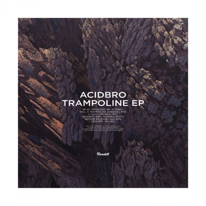 Trampoline (Original Mix)