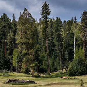 追逐梦想 (伴奏)