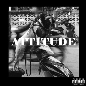 Attitude
