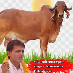 थारी गाया कर पुकार सांवरा बेगो आजा र